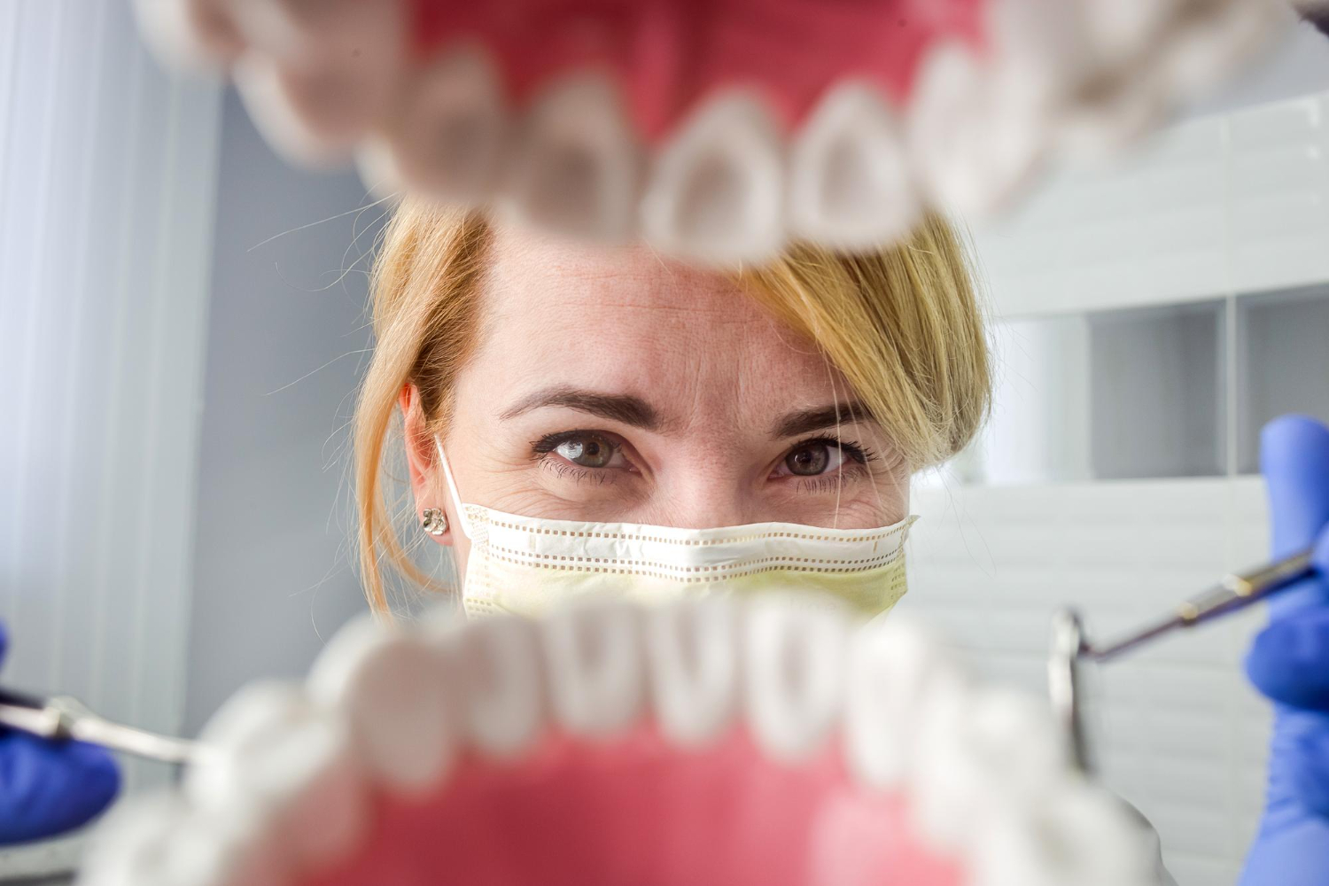 Numeração dos Dentes: Tudo Sobre a Dentição Humana